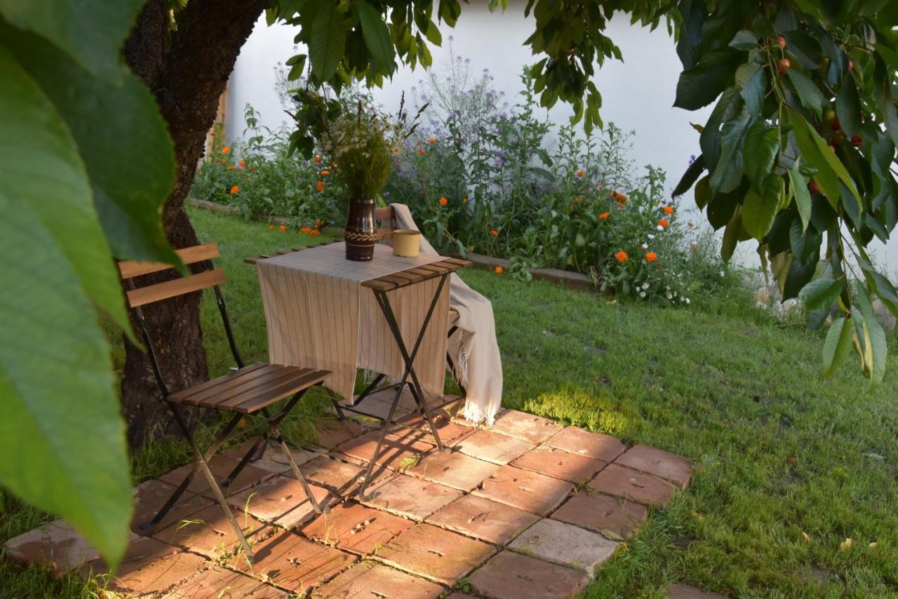Mlatevna Holiday home *